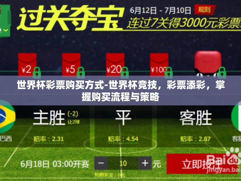 世界杯彩票购买方式-世界杯竞技，彩票添彩，掌握购买流程与策略