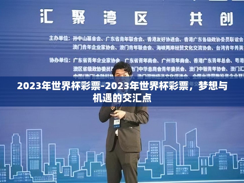 2023年世界杯彩票-2023年世界杯彩票，梦想与机遇的交汇点