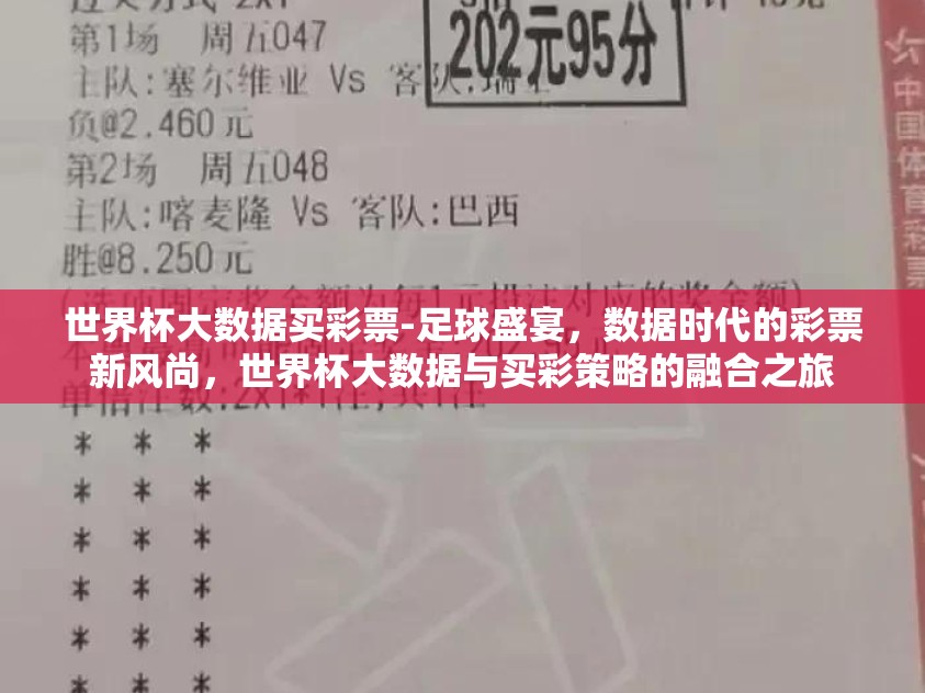 世界杯大数据买彩票-足球盛宴，数据时代的彩票新风尚，世界杯大数据与买彩策略的融合之旅