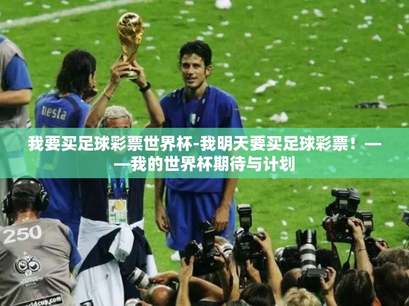 我要买足球彩票世界杯-我明天要买足球彩票！——我的世界杯期待与计划