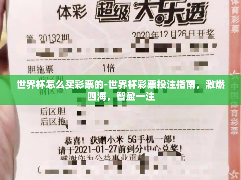世界杯怎么买彩票的-世界杯彩票投注指南，激燃四海，智盈一注