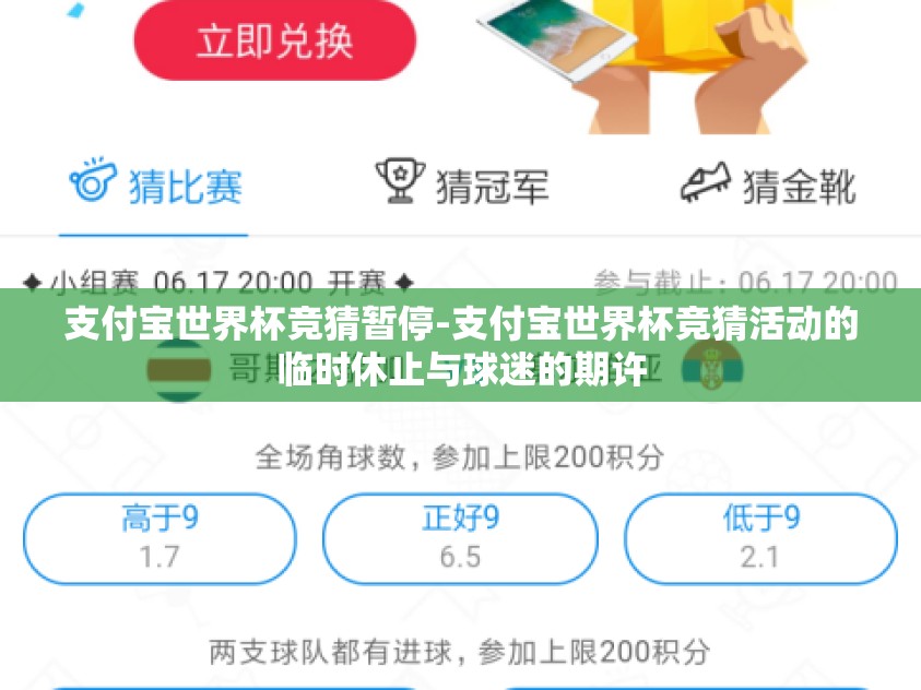 支付宝世界杯竞猜暂停-支付宝世界杯竞猜活动的临时休止与球迷的期许