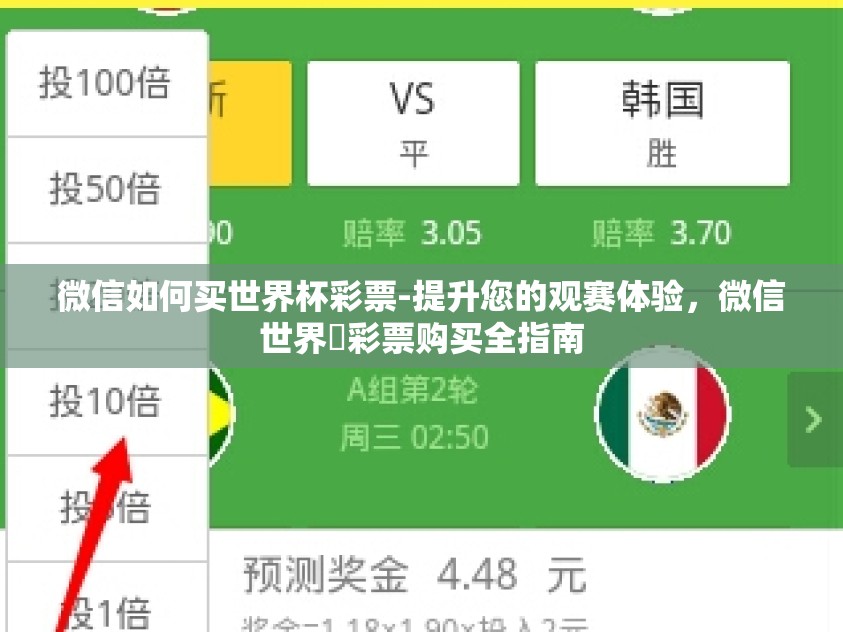 微信如何买世界杯彩票-提升您的观赛体验，微信世界盃彩票购买全指南