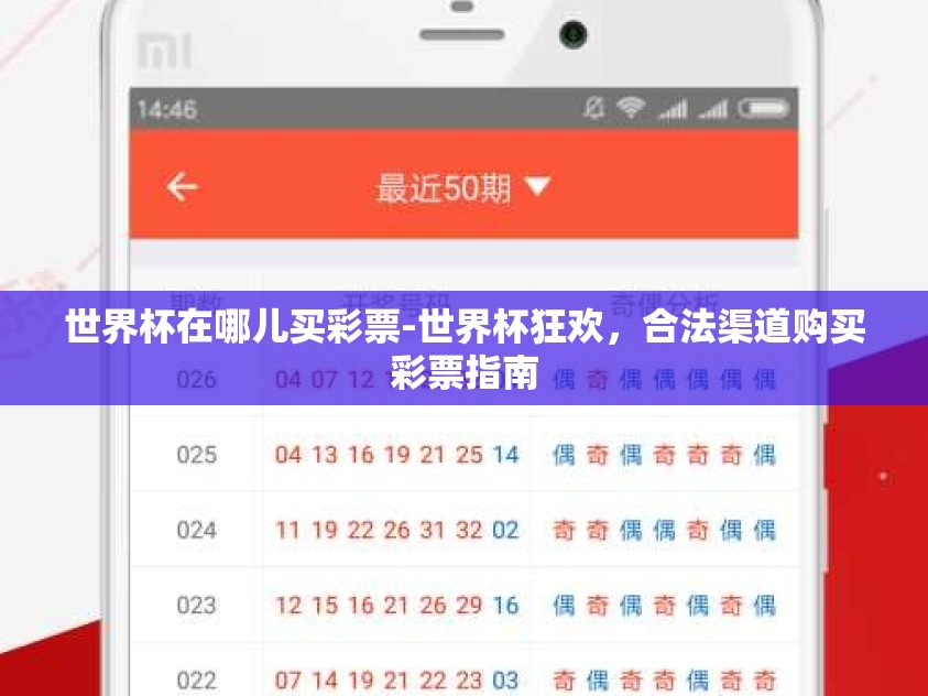 世界杯在哪儿买彩票-世界杯狂欢，合法渠道购买彩票指南