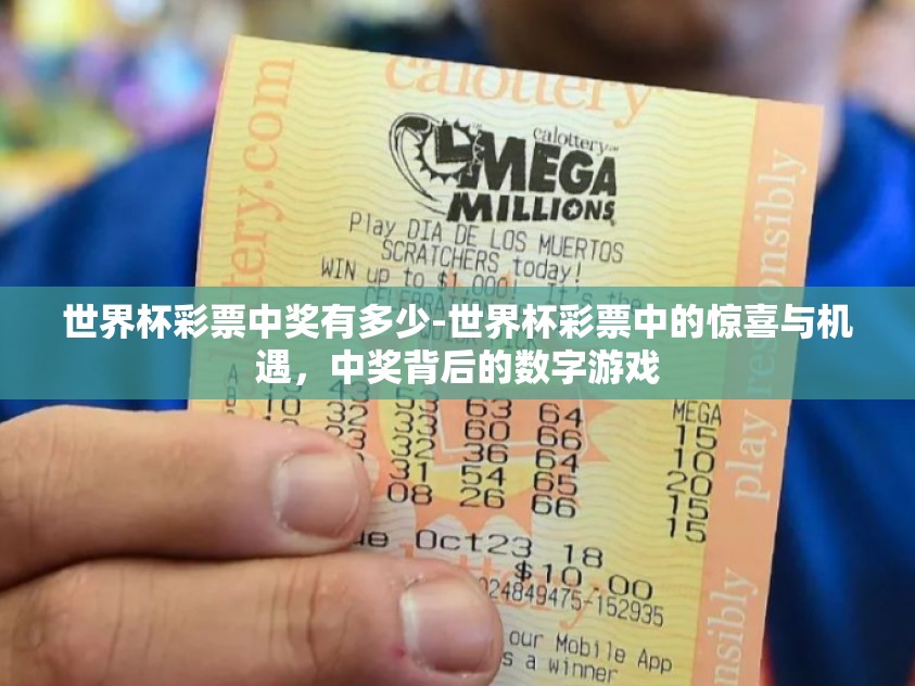 世界杯彩票中奖有多少-世界杯彩票中的惊喜与机遇，中奖背后的数字游戏