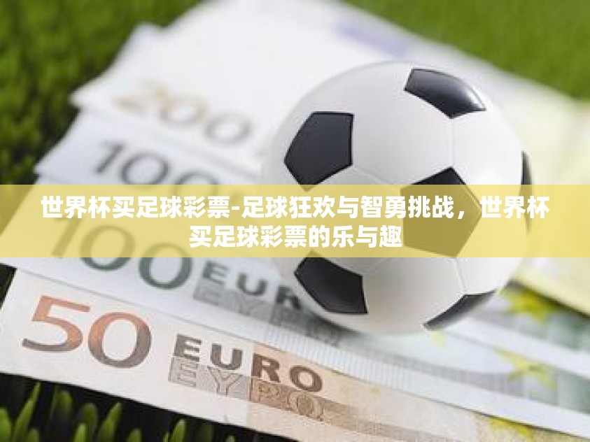 世界杯买足球彩票-足球狂欢与智勇挑战，世界杯买足球彩票的乐与趣