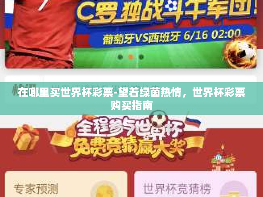 在哪里买世界杯彩票-望着绿茵热情，世界杯彩票购买指南