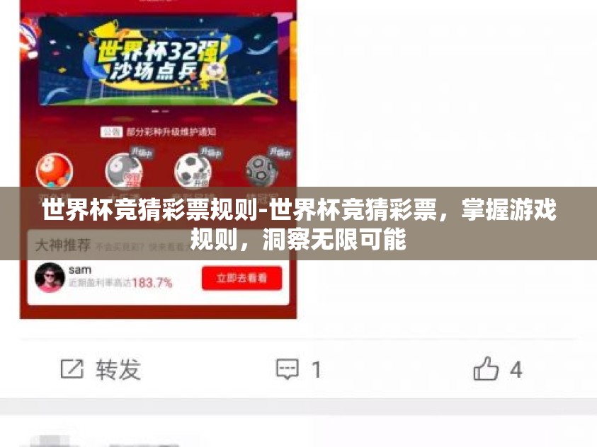 世界杯竞猜彩票规则-世界杯竞猜彩票，掌握游戏规则，洞察无限可能