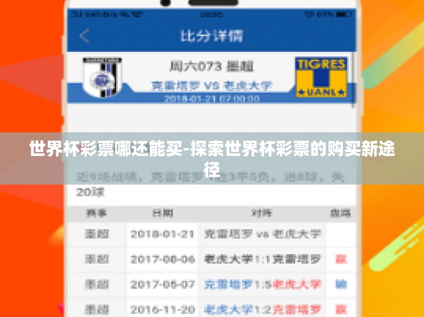 世界杯彩票哪还能买-探索世界杯彩票的购买新途径