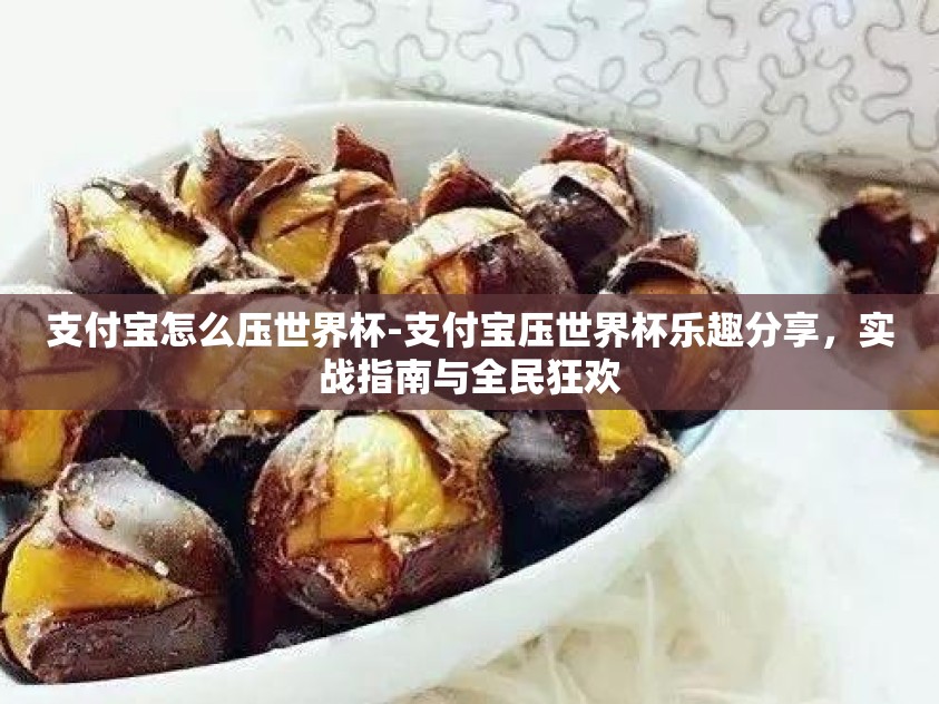 支付宝怎么压世界杯-支付宝压世界杯乐趣分享，实战指南与全民狂欢