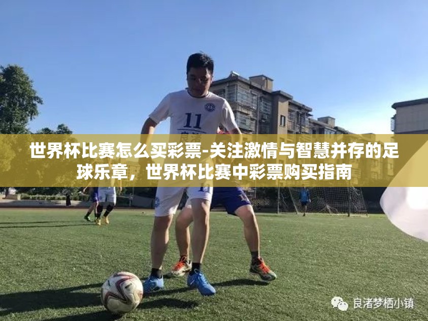 世界杯比赛怎么买彩票-关注激情与智慧并存的足球乐章，世界杯比赛中彩票购买指南