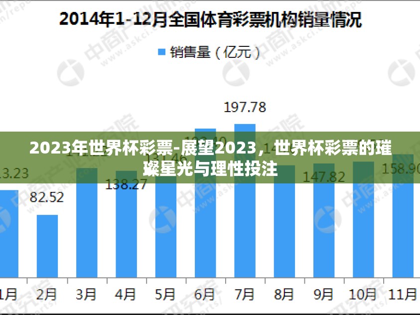 2023年世界杯彩票-展望2023，世界杯彩票的璀璨星光与理性投注