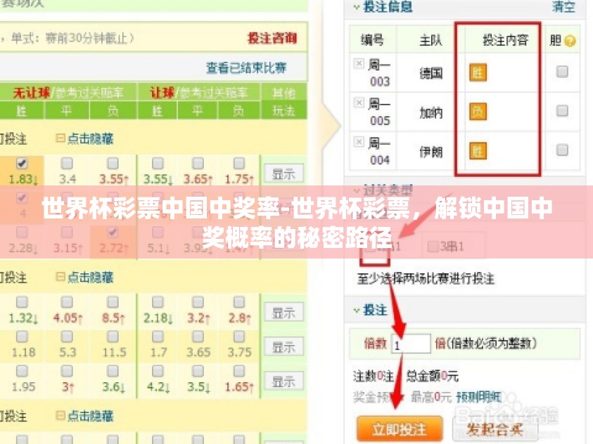 世界杯彩票中国中奖率-世界杯彩票，解锁中国中奖概率的秘密路径
