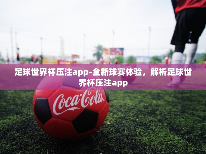 足球世界杯压注app-全新球赛体验，解析足球世界杯压注app