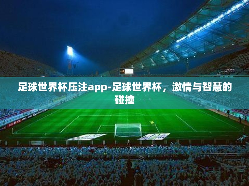足球世界杯压注app-足球世界杯，激情与智慧的碰撞