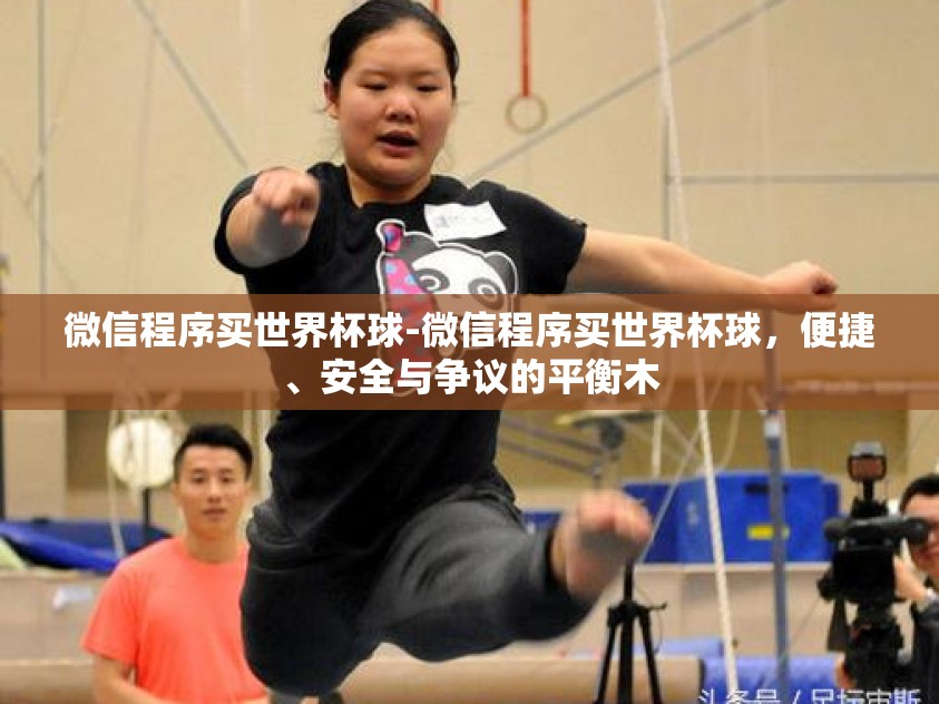 微信程序买世界杯球-微信程序买世界杯球，便捷、安全与争议的平衡木