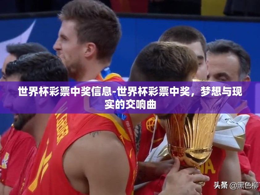 世界杯彩票中奖信息-世界杯彩票中奖，梦想与现实的交响曲