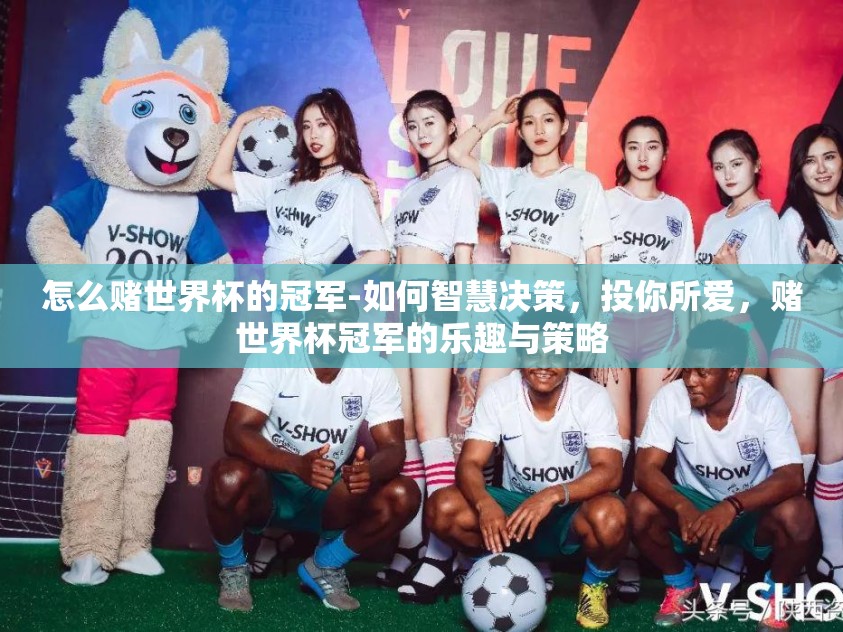 怎么赌世界杯的冠军-如何智慧决策，投你所爱，赌世界杯冠军的乐趣与策略
