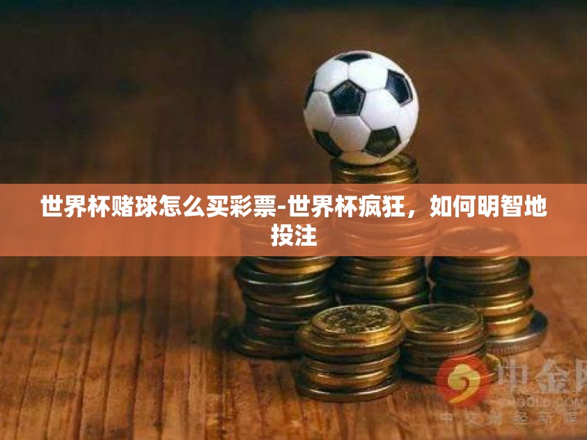 世界杯赌球怎么买彩票-世界杯疯狂，如何明智地投注
