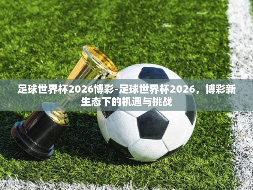 足球世界杯2026博彩-足球世界杯2026，博彩新生态下的机遇与挑战