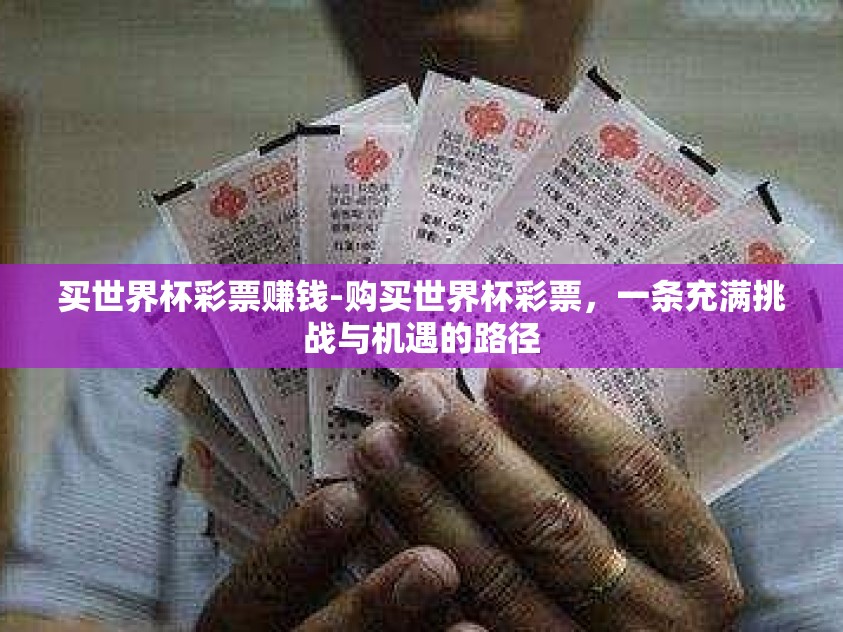 买世界杯彩票赚钱-购买世界杯彩票，一条充满挑战与机遇的路径
