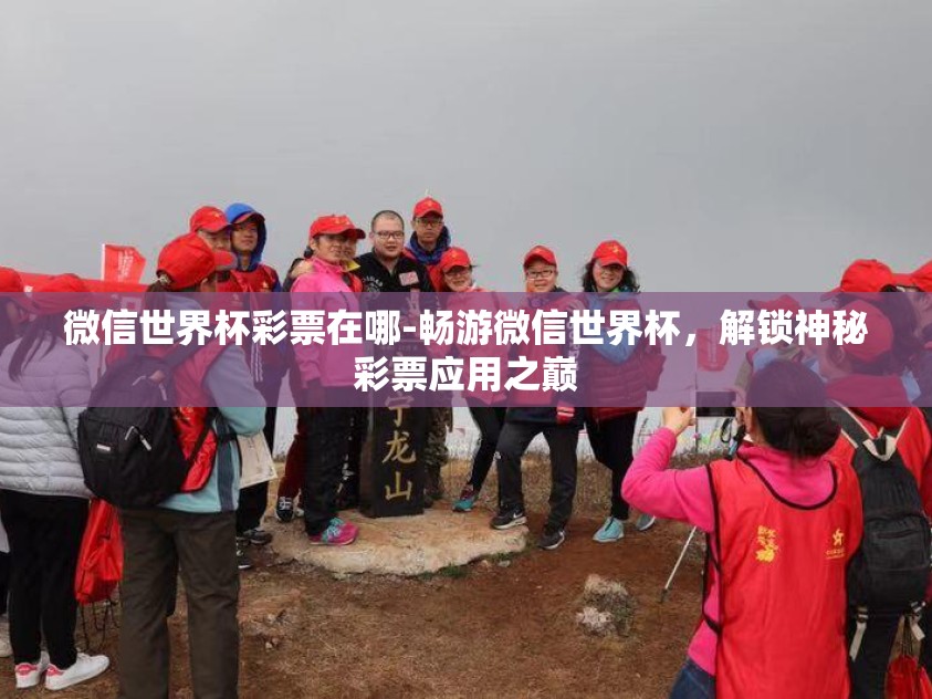 微信世界杯彩票在哪-畅游微信世界杯，解锁神秘彩票应用之巅