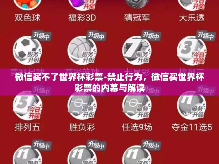 微信买不了世界杯彩票-禁止行为，微信买世界杯彩票的内幕与解读