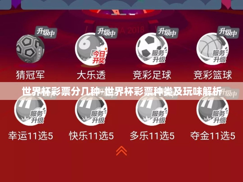 世界杯彩票分几种-世界杯彩票种类及玩味解析