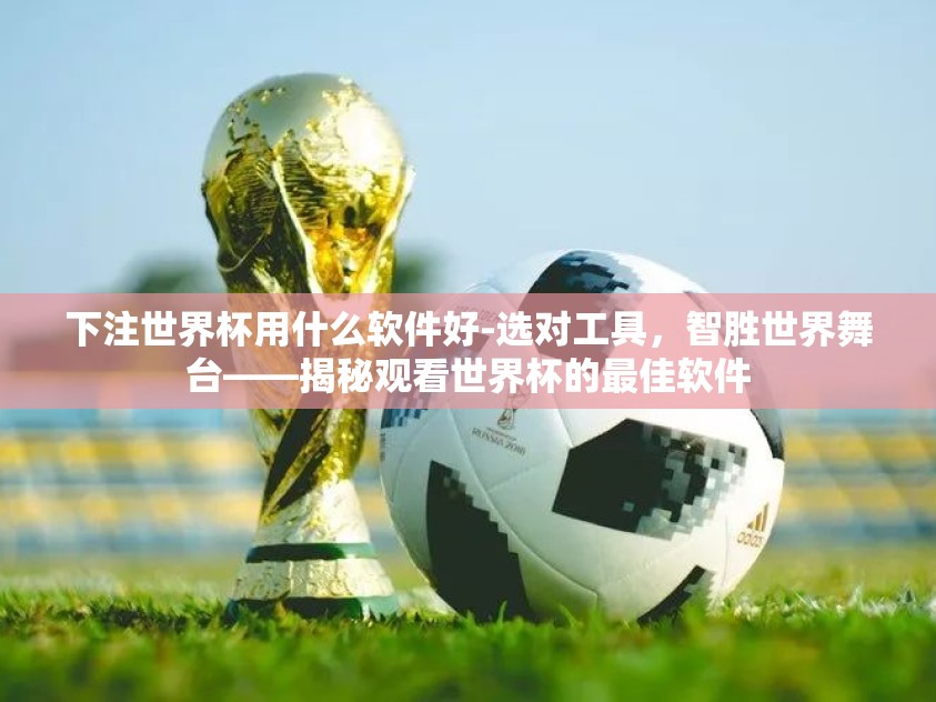 下注世界杯用什么软件好-选对工具，智胜世界舞台——揭秘观看世界杯的最佳软件