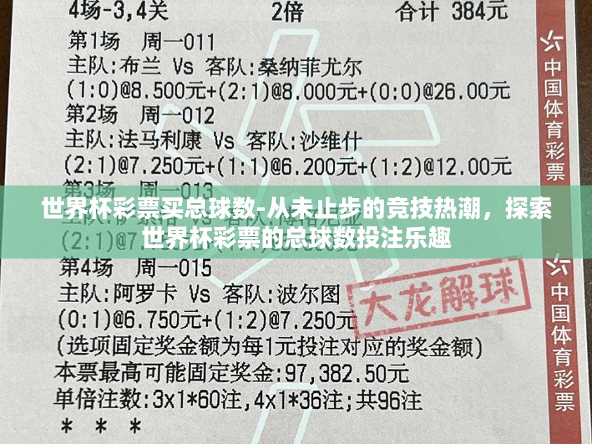 世界杯彩票买总球数-从未止步的竞技热潮，探索世界杯彩票的总球数投注乐趣