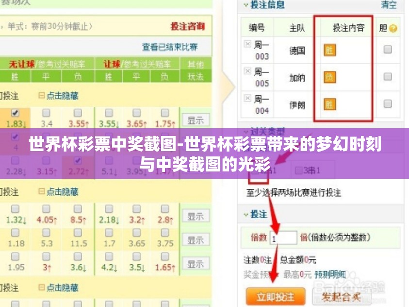 世界杯彩票中奖截图-世界杯彩票带来的梦幻时刻与中奖截图的光彩 世界杯彩票中奖截图-世界杯彩票带来的梦幻时刻与中奖截图的光彩