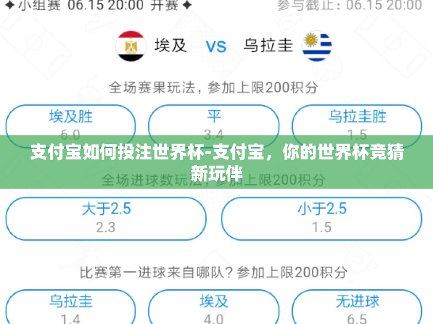 支付宝如何投注世界杯-支付宝，你的世界杯竞猜新玩伴