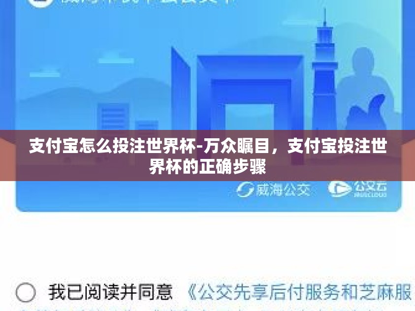 支付宝怎么投注世界杯-万众瞩目，支付宝投注世界杯的正确步骤