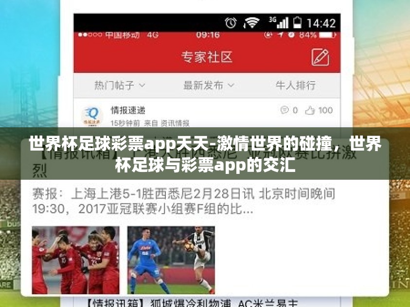 世界杯足球彩票app天天-激情世界的碰撞，世界杯足球与彩票app的交汇