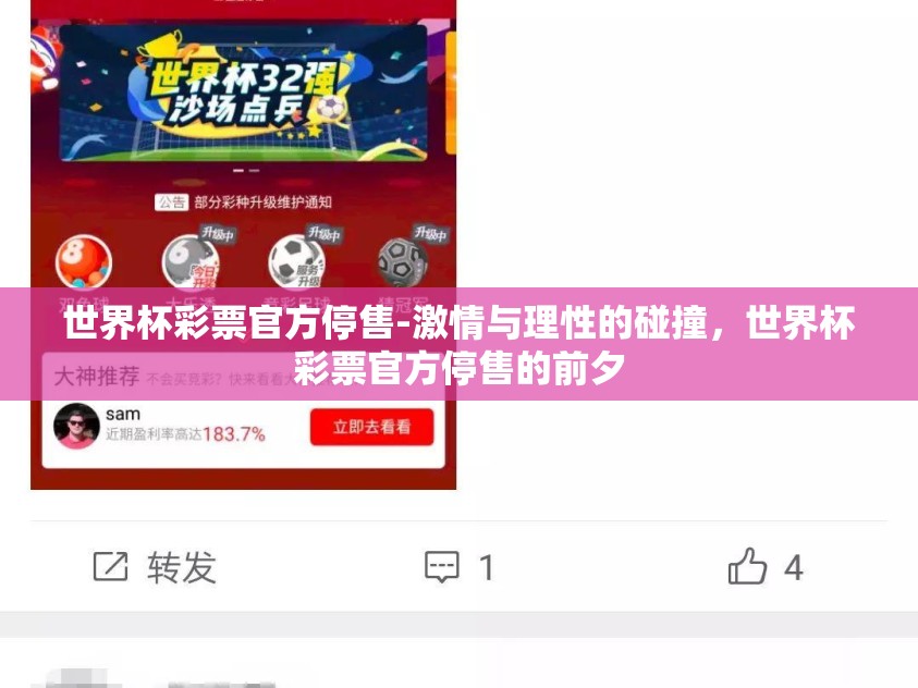 世界杯彩票官方停售-激情与理性的碰撞，世界杯彩票官方停售的前夕