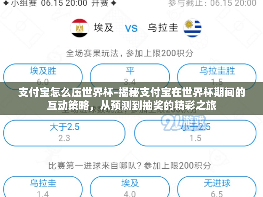 支付宝怎么压世界杯-揭秘支付宝在世界杯期间的互动策略，从预测到抽奖的精彩之旅