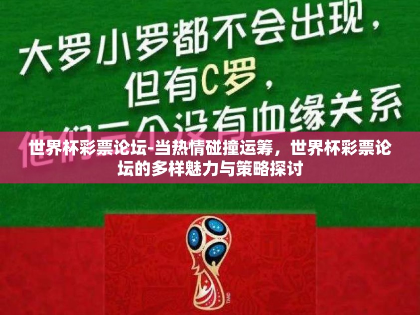 世界杯彩票论坛-当热情碰撞运筹，世界杯彩票论坛的多样魅力与策略探讨