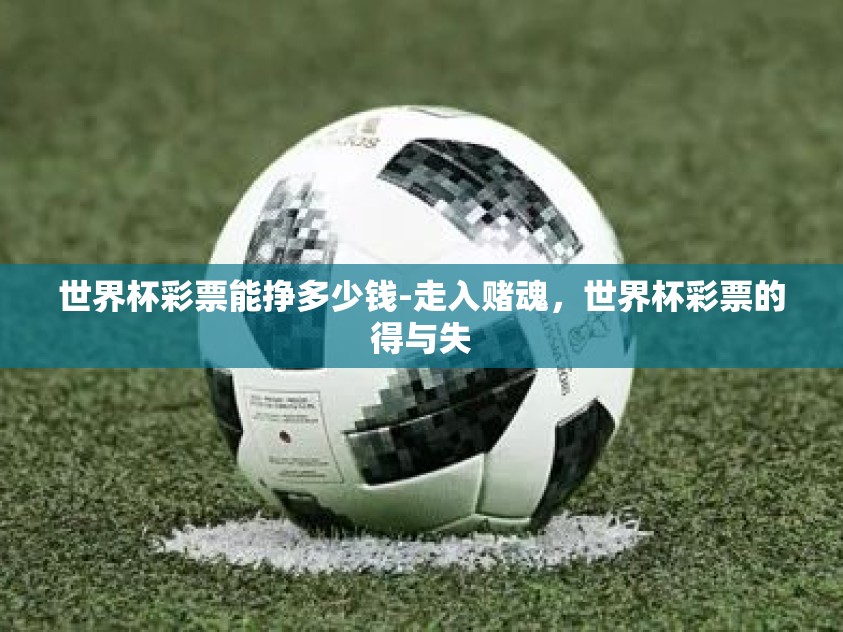世界杯彩票能挣多少钱-走入赌魂，世界杯彩票的得与失