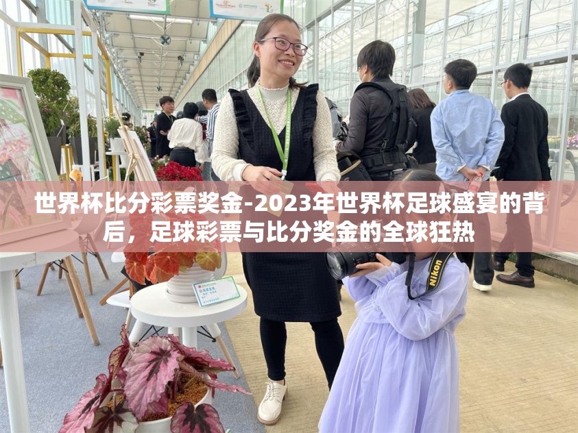 世界杯比分彩票奖金-2023年世界杯足球盛宴的背后，足球彩票与比分奖金的全球狂热