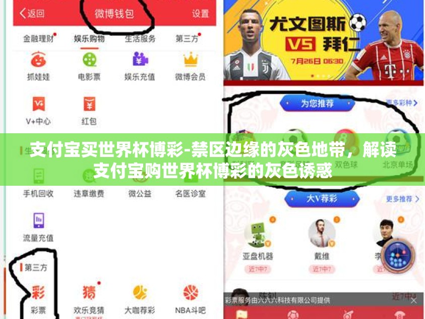 支付宝买世界杯博彩-禁区边缘的灰色地带，解读支付宝购世界杯博彩的灰色诱惑