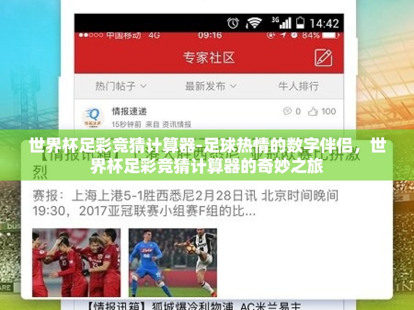世界杯足彩竞猜计算器-足球热情的数字伴侣，世界杯足彩竞猜计算器的奇妙之旅