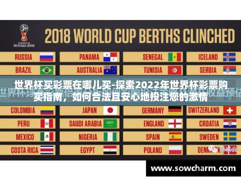 世界杯买彩票在哪儿买-探索2022年世界杯彩票购买指南，如何合法且安心地投注您的激情