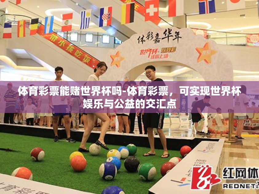 体育彩票能赌世界杯吗-体育彩票，可实现世界杯娱乐与公益的交汇点