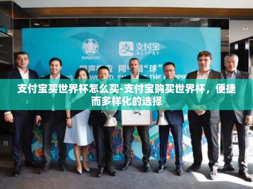 支付宝买世界杯怎么买-支付宝购买世界杯，便捷而多样化的选择