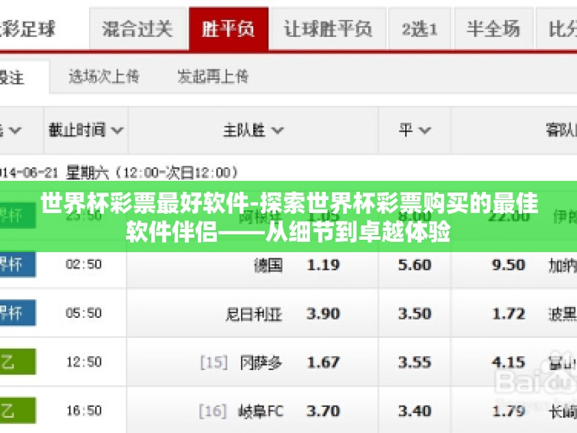 世界杯彩票最好软件-探索世界杯彩票购买的最佳软件伴侣——从细节到卓越体验