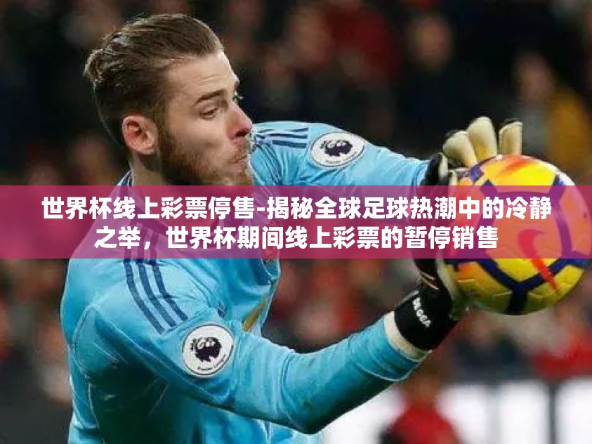 世界杯线上彩票停售-揭秘全球足球热潮中的冷静之举，世界杯期间线上彩票的暂停销售
