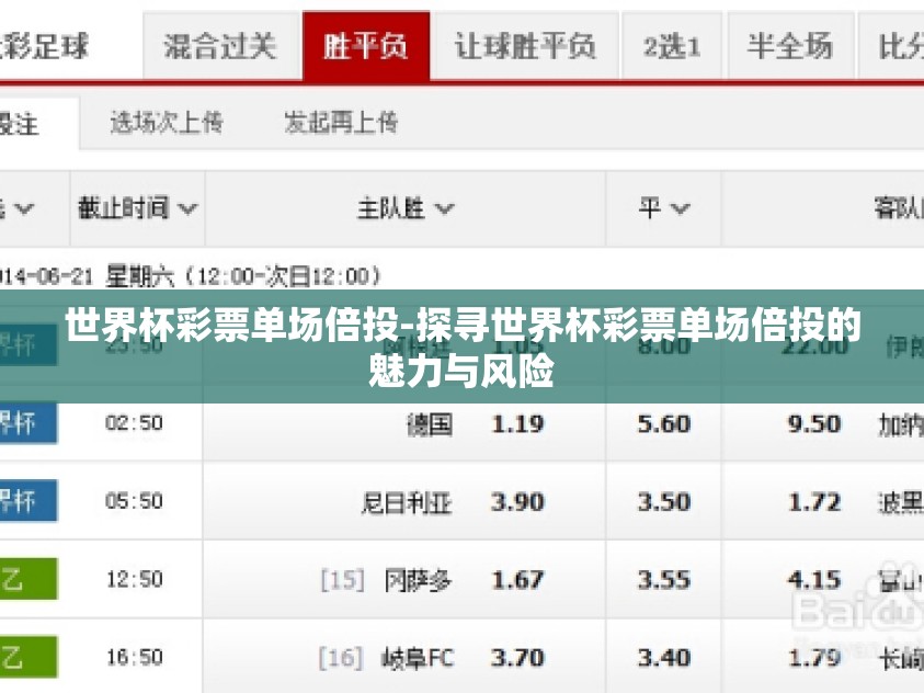 世界杯彩票单场倍投-探寻世界杯彩票单场倍投的魅力与风险
