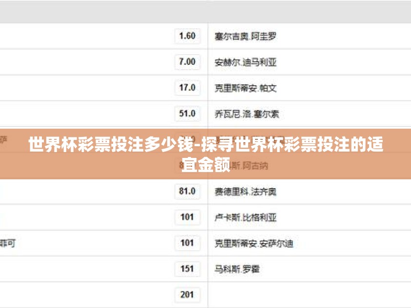 世界杯彩票投注多少钱-探寻世界杯彩票投注的适宜金额