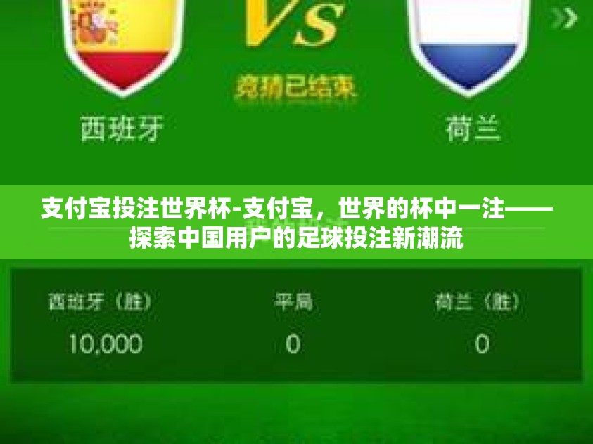 支付宝投注世界杯-支付宝，世界的杯中一注——探索中国用户的足球投注新潮流