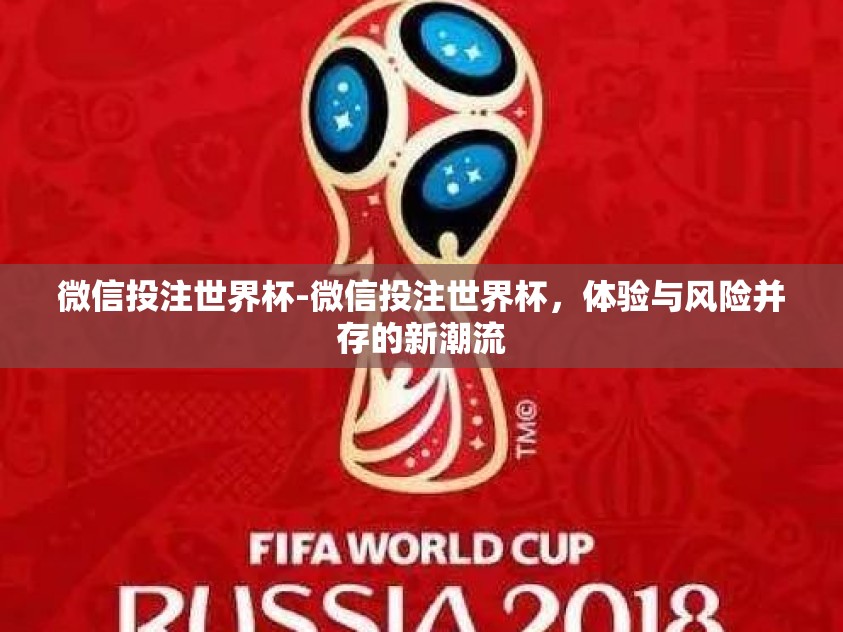 微信投注世界杯-微信投注世界杯，体验与风险并存的新潮流